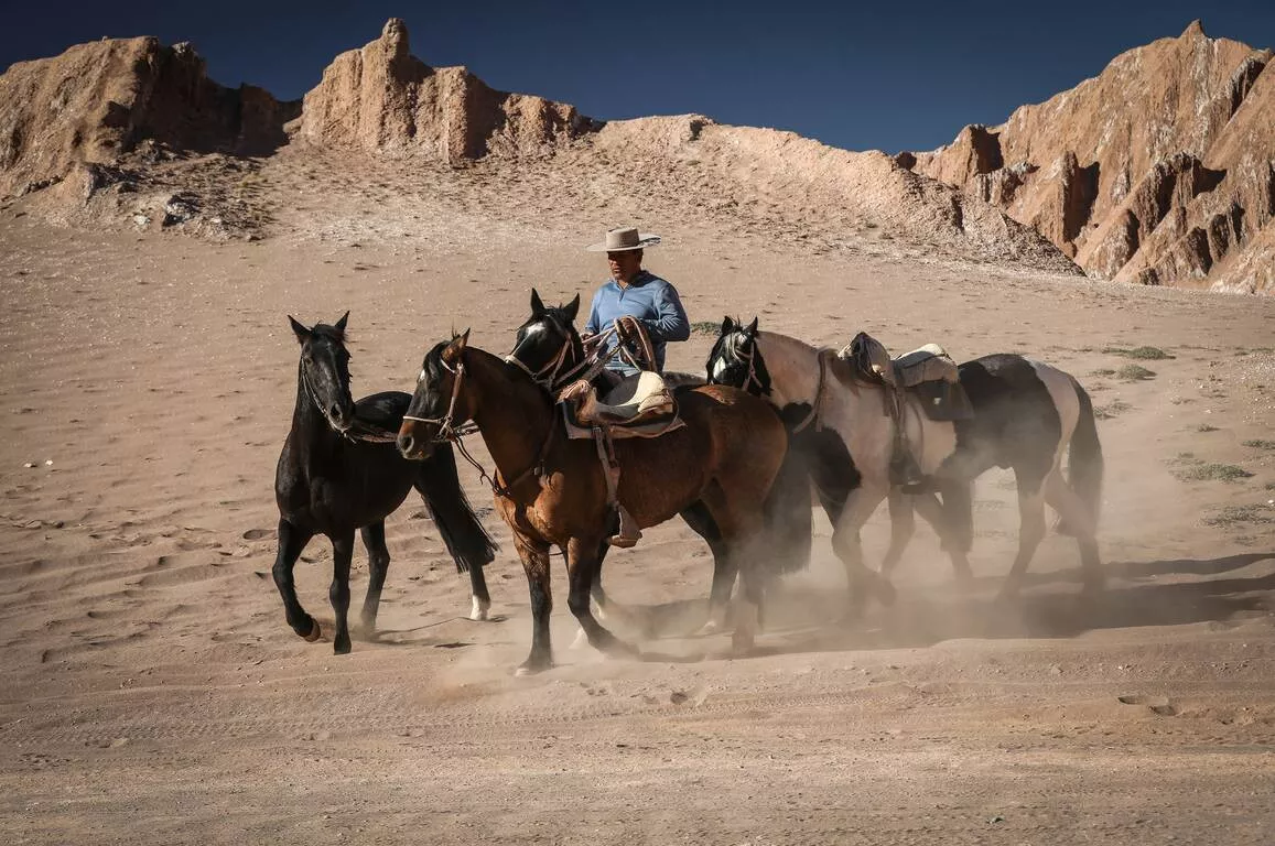 Awasi Atacama Relais & Chateuax